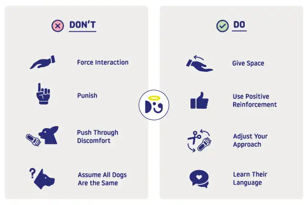 Learn dog language by giving space, using positive reinforcement, and adjusting your approach. Avoid forcing interactions or punishing.