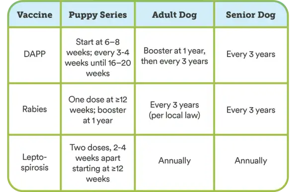 Chart shows how often dogs need shots: DAPP every 3 years for adults/seniors, Rabies every 3 years, Leptospirosis annually.